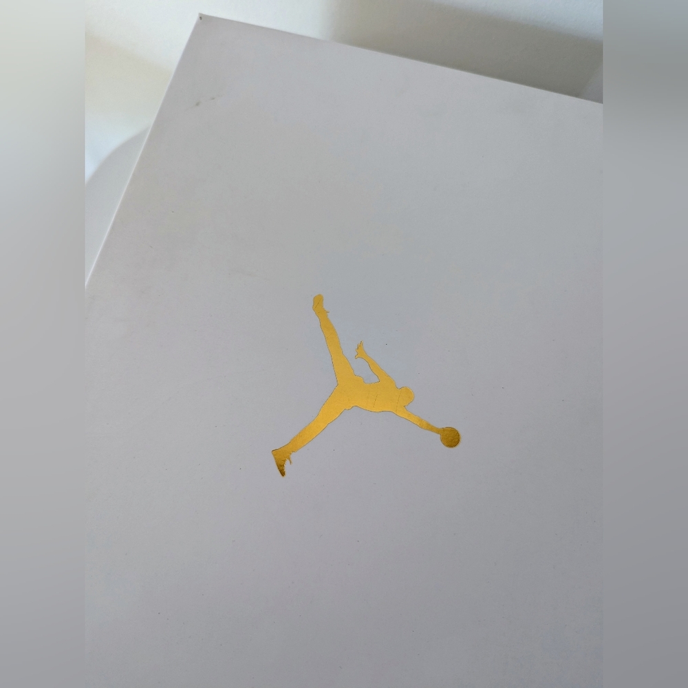 NWT Air Jordan 12s Wings - Picture 13 of 14